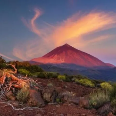 Viajeros Проживание в семье